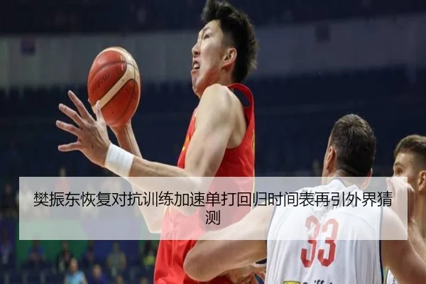 樊振东恢复对抗训练加速单打回归时间表再引外界猜测